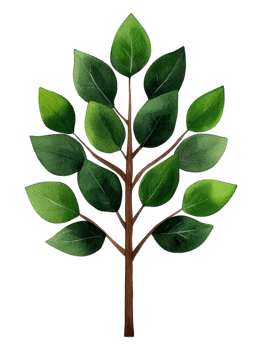 Detailed Illustration of a Green Leafy Tree with Branches and Leaves png