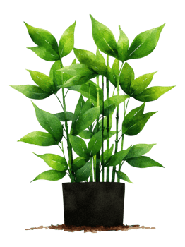 Lush Green Plant in Black Pot Against png