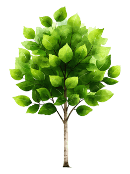 Lush Green Tree with Vibrant Leaves png