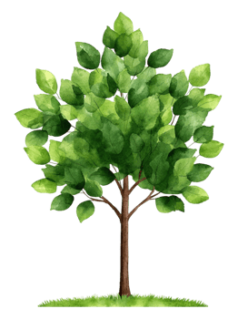 Vibrant Green Tree with Lush Foliage and Trunk Illustration png