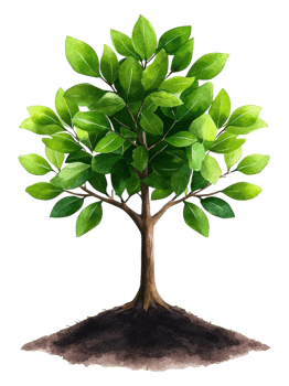 Vibrant Green Tree with Lush Leaves and Rich Soil Base Illustration png