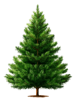 Lush Green Christmas Tree for Holidays png