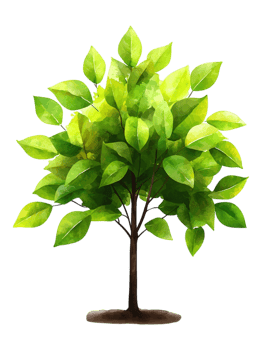 Vibrant Green Tree with Lush Leaves in Watercolor Style png
