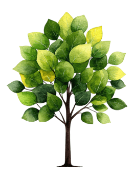Watercolor Tree with Green Leaves png