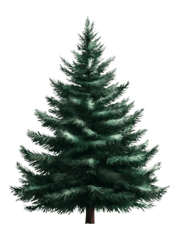 Lush Green Pine Tree with Realistic Branches and Needles png