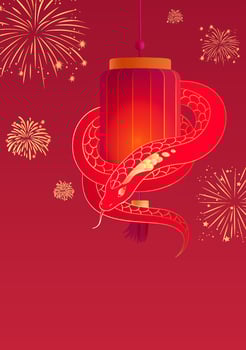 Chinese New Year poster of the Year of the Snake Red snake wrapped around a red lantern vector