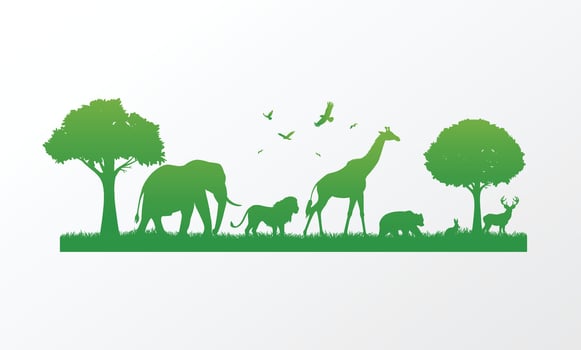 World Wildlife and animals day. vector