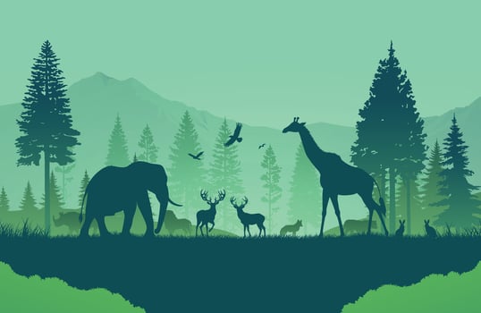 Wildlife Harmony in the Forest vector
