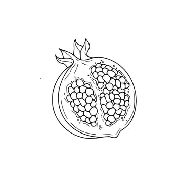 Pomegranate coloring pages vector