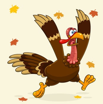 Crazy Turkey Cartoon Character Running vector