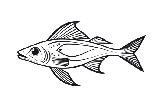 Black and white illustration of detailed fish with intricate line patterns, highlighting underwater beauty and artistic design. png