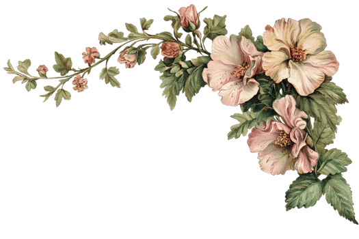 Beautiful vintage floral illustration with delicate pink and peach flowers, surrounded by lush green leaves, perfect for design projects. png