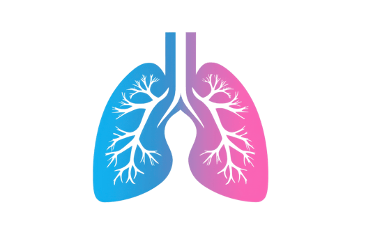 Colorful abstract illustration of human lungs, showcasing blue and pink segments. Ideal for health-related and educational materials. png