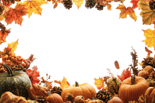 Colorful autumn frame with pumpkins, leaves, and pine cones, perfect for seasonal and Thanksgiving themes. Blank space in the center for text. png