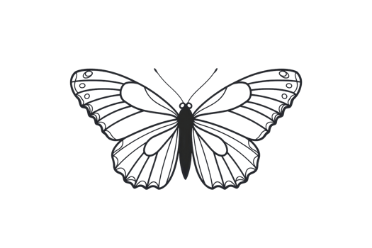 Elegant black and white butterfly illustration with detailed wings, perfect for designs and nature-inspired projects or educational purposes. png