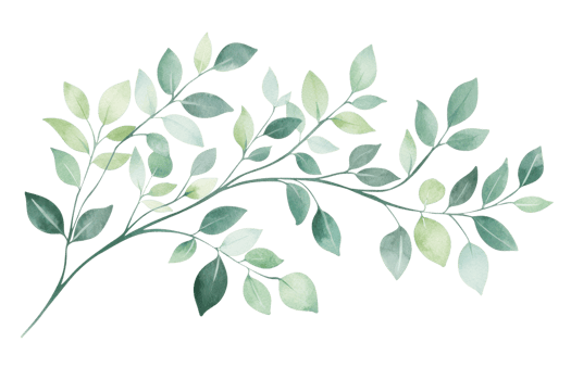 Delicate watercolor eucalyptus branch in soothing green hues, perfect for natural designs, invitations, and botanical illustrations. png
