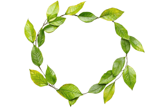 Green leafy wreath arranged in a circular pattern, ideal for nature-themed designs and decorative purposes. png