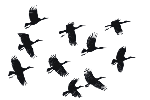 Silhouette of birds flying in a clear sky, showcasing the beauty of nature and freedom in flight with elegance and grace. png