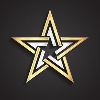 3d beautiful shape silver gold star symbol vector