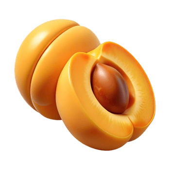 3D Render of Apricot Halves png