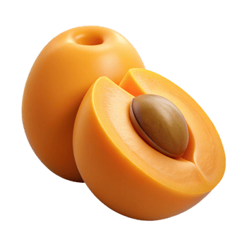 3D Render of Apricots, Halved Fruit png