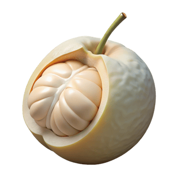 Creamy Fruit 3D Render, Cut Open, Textured Skin, Juicy Interior, Realistic Food Illustration png