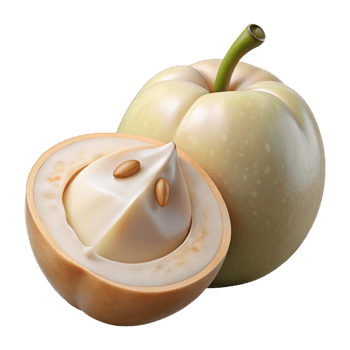 3D Render Creamy White Nut Illustration png