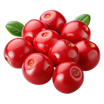 Realistic Red Cranberries Illustration png