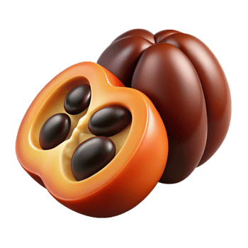 3D Render of Tropical Fruit, Lucuma Seeds png