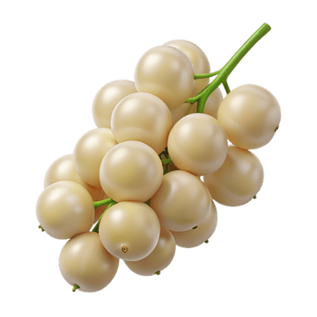 Creamy White Berries 3D Render png