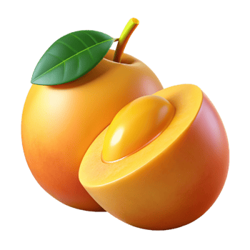 3D Realistic Apricot Illustration png