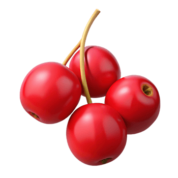 3D Render Red Berries Cluster png
