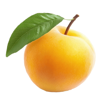 A single peach with a leaf on it png