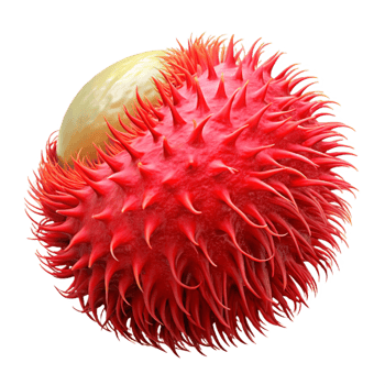 Red Spiky 3D Render png