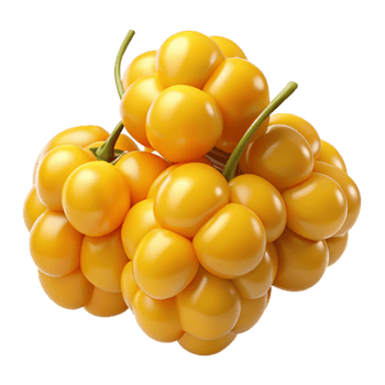 3D Render of Yellow Cloudberries png
