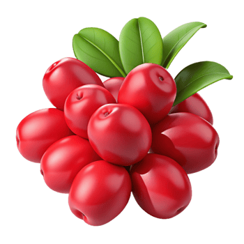 3D Render Red Berries with Leaves png