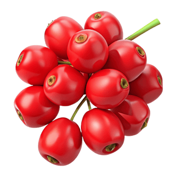 3D Render Red Berries Bunch Illustration png