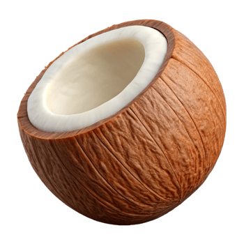 3D Render of Half Coconut png
