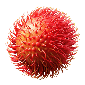 Red Spiky 3D Render png