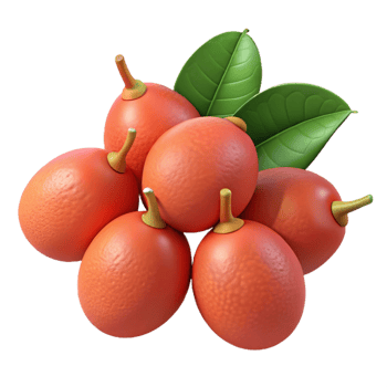 3D Render of Orange Fruits with Leaves png