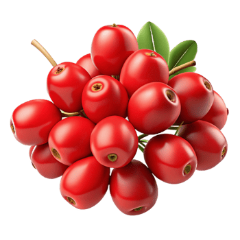 Vibrant Red Berries 3D Illustration png