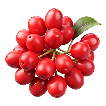 Vibrant Red Berries 3D Illustration png