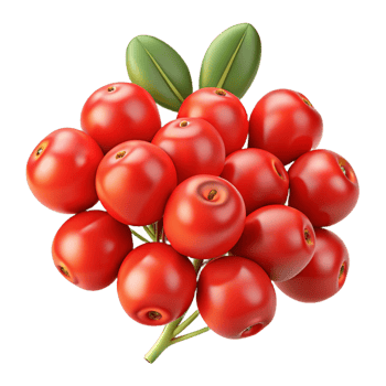 3D Render of Red Berries Cluster png