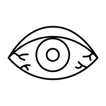Eye with vessels icon. Outline eye with vessels icon for web design transparent background png