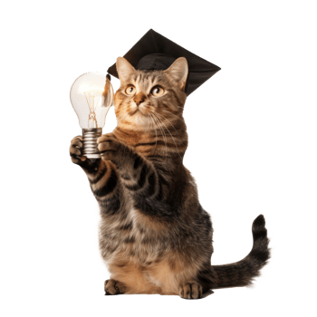 full body cat wearing graduate cap and holding light bulb isolate on transparent background png
