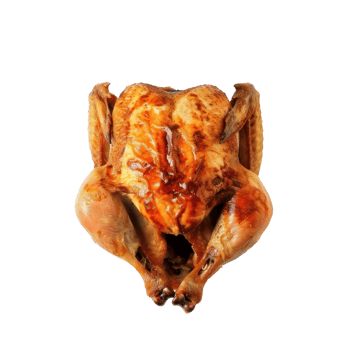 a chicken on a transparent background png