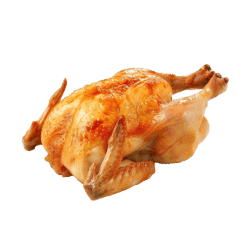 a chicken on a transparent background png