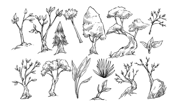 growing tree handdrawn collection vector