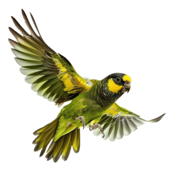 a green and yellow bird flying in the air png