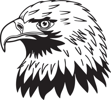 An eagle head is shown in black and white vector